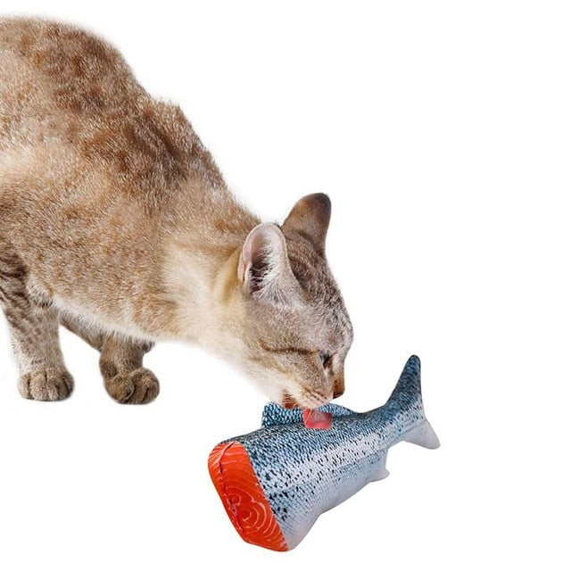 Pet Soft Plush 3D Fish Shape Cat Toy Interactive