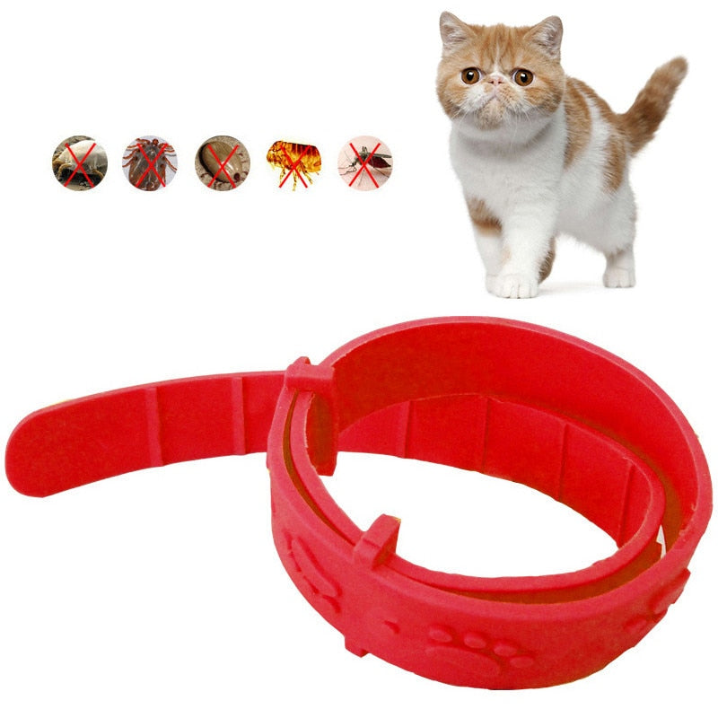 800m Electric Dog Training Collar Pet Remote Control Waterproof Rechargeable with LCD Display for All Size Shock Vibration Sound