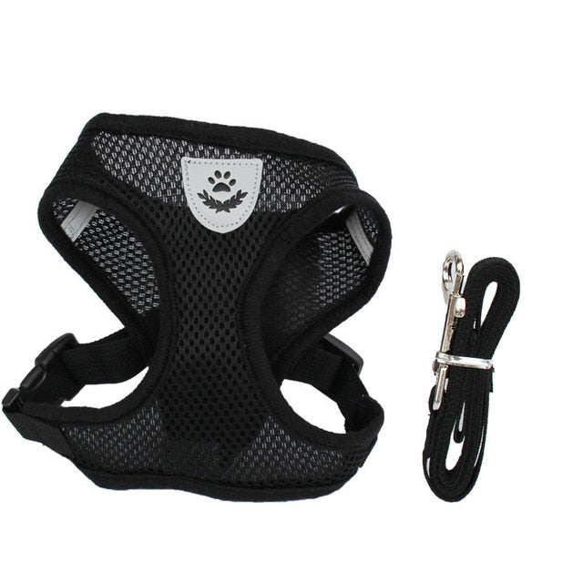 Cat & Dog Adjustable Leash