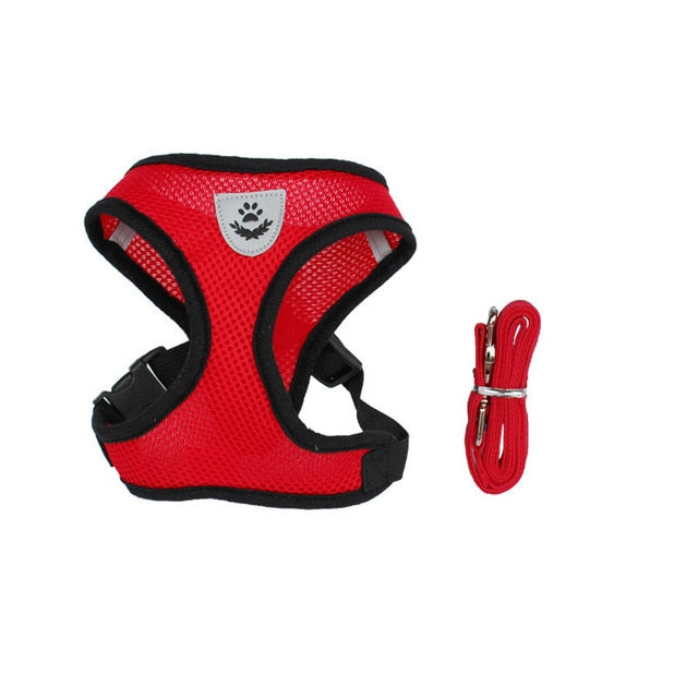 Cat & Dog Adjustable Leash