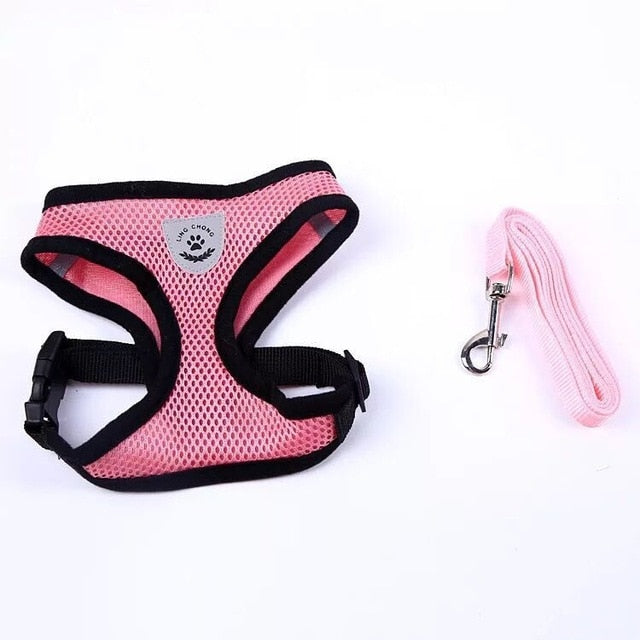 Cat & Dog Adjustable Leash