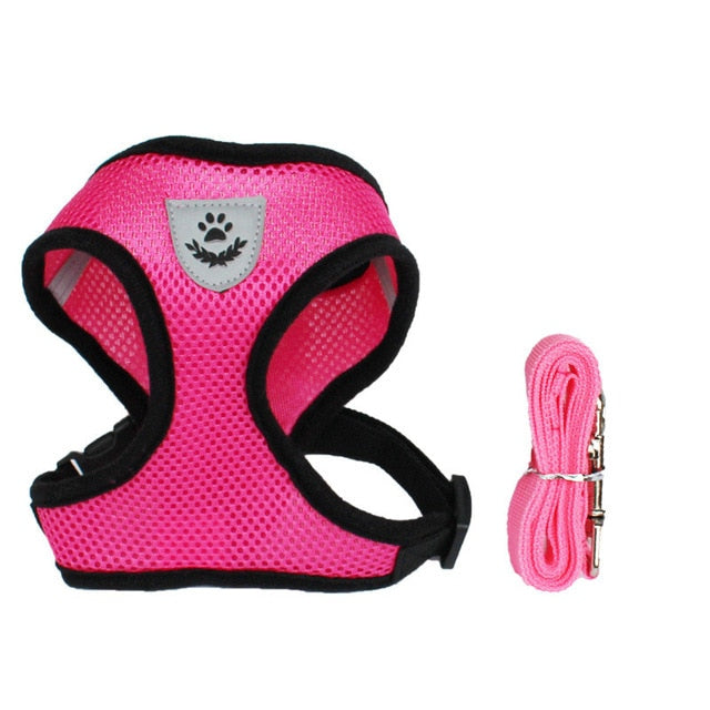 Cat & Dog Adjustable Leash
