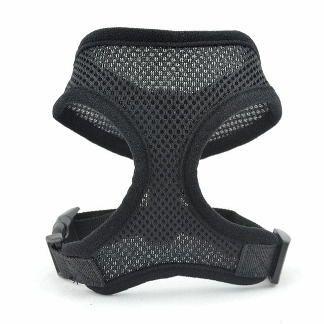 Pet Harness and Leash Vest