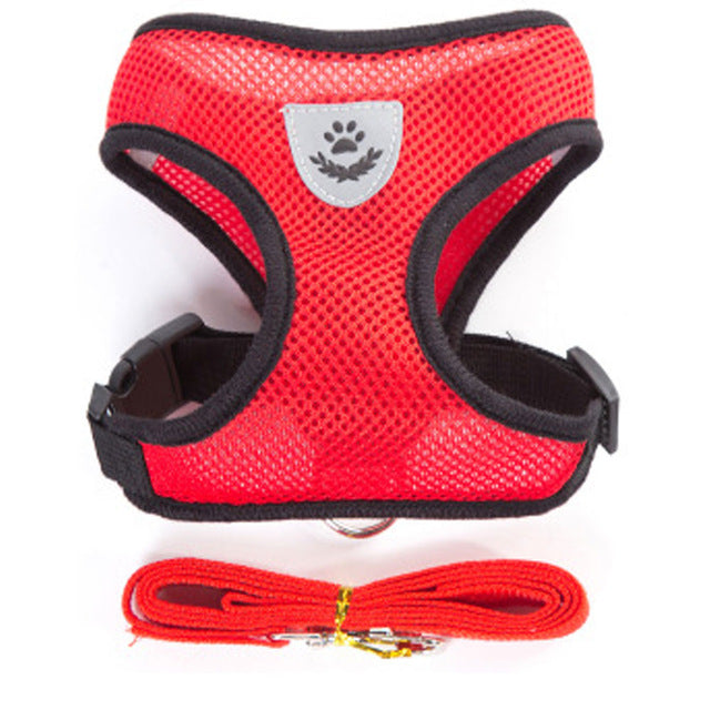 Pet Harness and Leash Vest