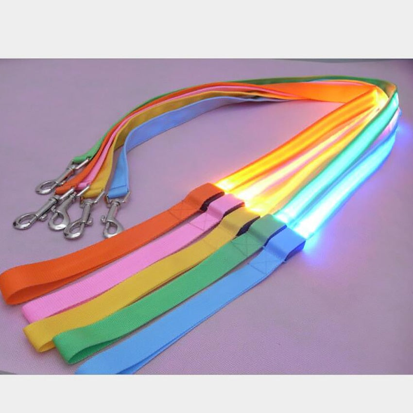 Pet Visible, Night Safety Leash