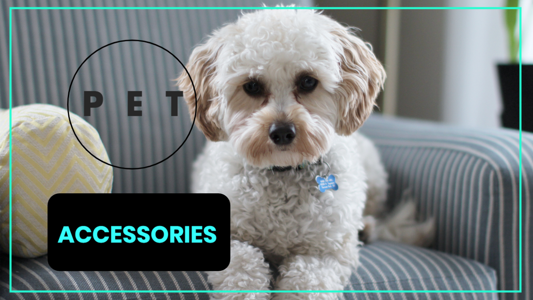 Pet Gadgets You Must Have