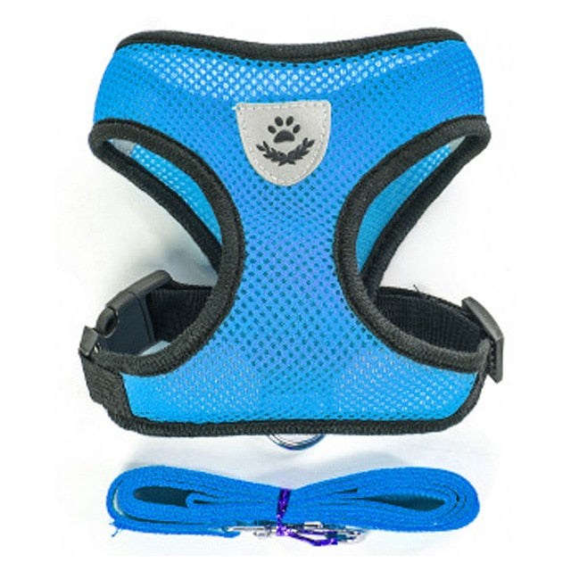 Nylon Mesh Harness And Leash Breathable Cats & Small Dog