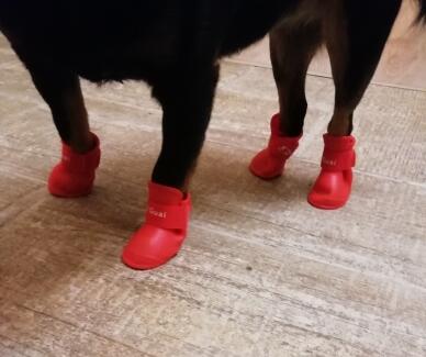 4pcs/lot S/M/L Pet Dog Rain Shoes for Dogs Booties Rubber Portable Anti Slip Waterproof Pet Dog Cat Rain Shoes