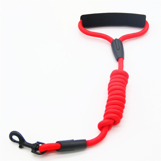 Pet Leash