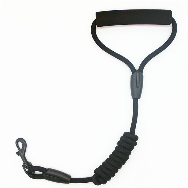 Pet Leash