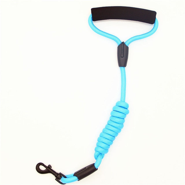 Pet Leash