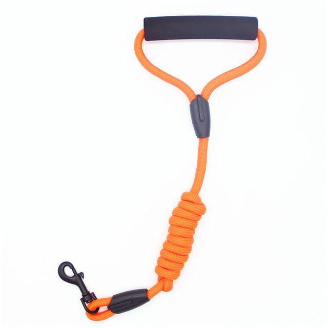 Pet Leash
