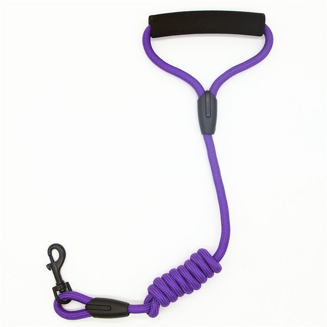 Pet Leash