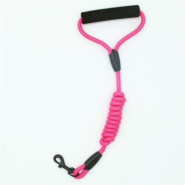 Pet Leash