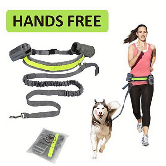 Pet Dog Cat Running Jogging Padded Waist Belt Reflective Strip Elastic Leash Perfect