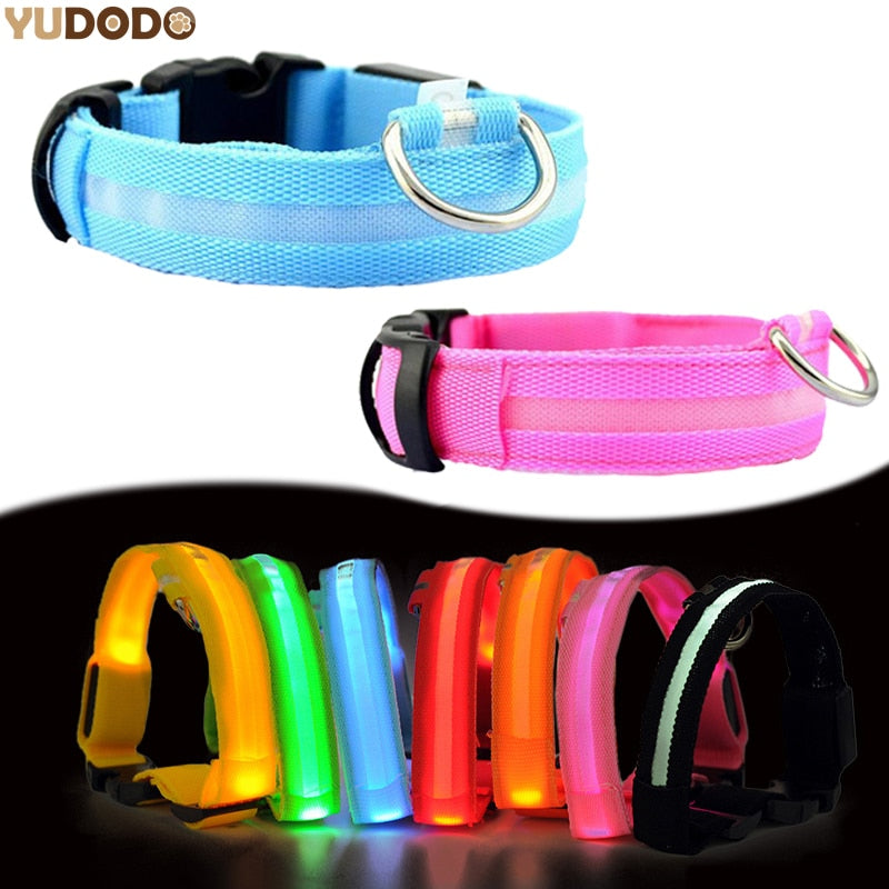 Nylon LED Pet Dog Collar, Night Safety Flashing Glow In The Dark Dog Leash