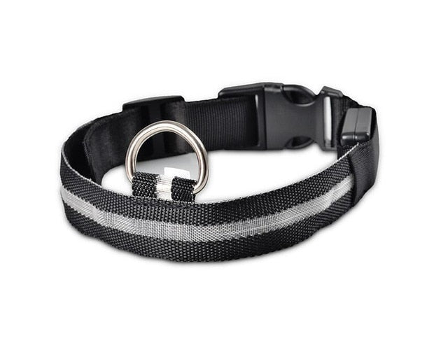 Nylon LED Pet Dog Collar, Night Safety Flashing Glow In The Dark Dog Leash