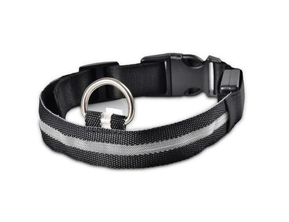 Nylon LED Pet Dog Collar, Night Safety Flashing Glow In The Dark Dog Leash