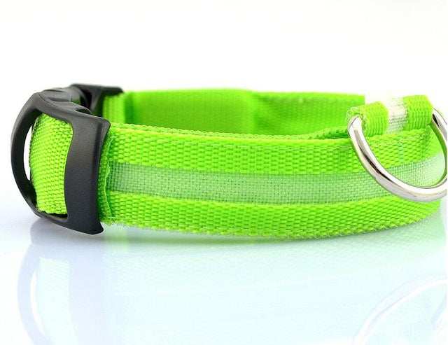 Nylon LED Pet Dog Collar, Night Safety Flashing Glow In The Dark Dog Leash