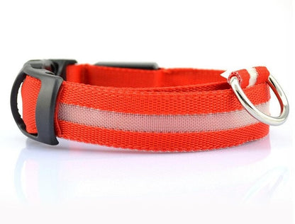 Nylon LED Pet Dog Collar, Night Safety Flashing Glow In The Dark Dog Leash