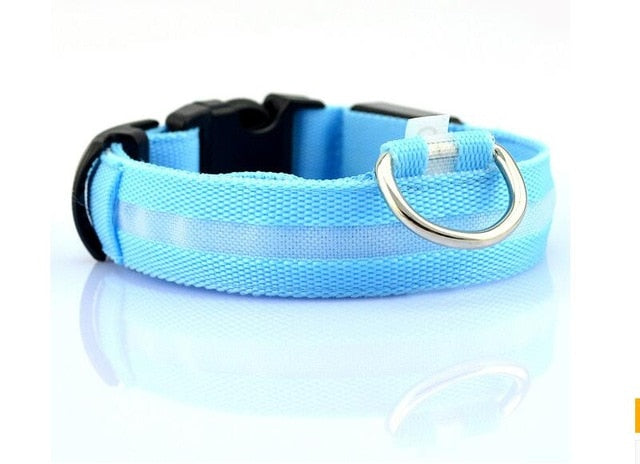 Nylon LED Pet Dog Collar, Night Safety Flashing Glow In The Dark Dog Leash
