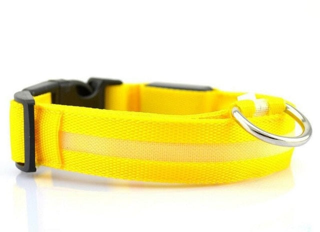 Nylon LED Pet Dog Collar, Night Safety Flashing Glow In The Dark Dog Leash