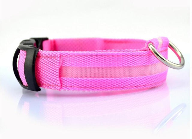 Nylon LED Pet Dog Collar, Night Safety Flashing Glow In The Dark Dog Leash