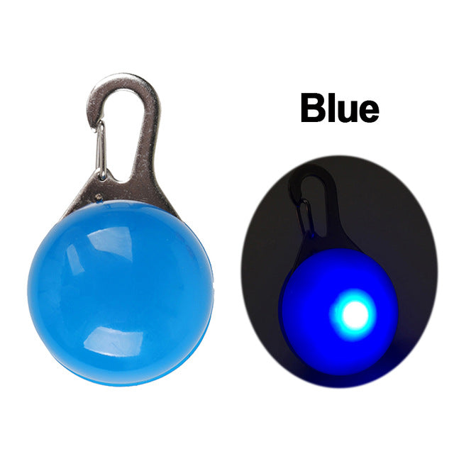 Nylon LED Pet Dog Collar, Night Safety Flashing Glow In The Dark Dog Leash