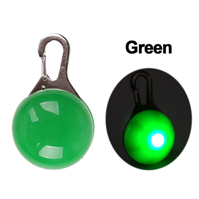 Nylon LED Pet Dog Collar, Night Safety Flashing Glow In The Dark Dog Leash