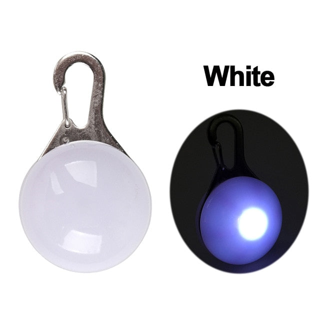 Nylon LED Pet Dog Collar, Night Safety Flashing Glow In The Dark Dog Leash