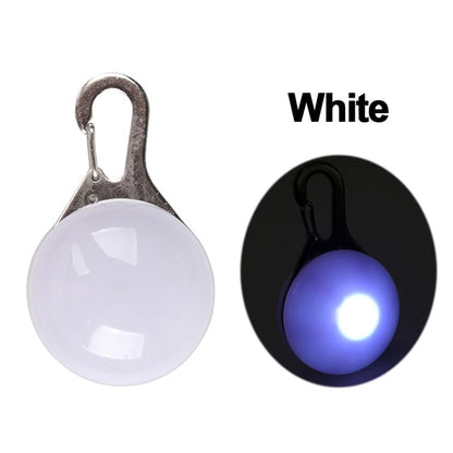 Nylon LED Pet Dog Collar, Night Safety Flashing Glow In The Dark Dog Leash