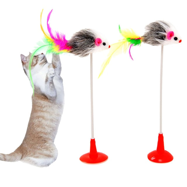 Cat Interactive Toy