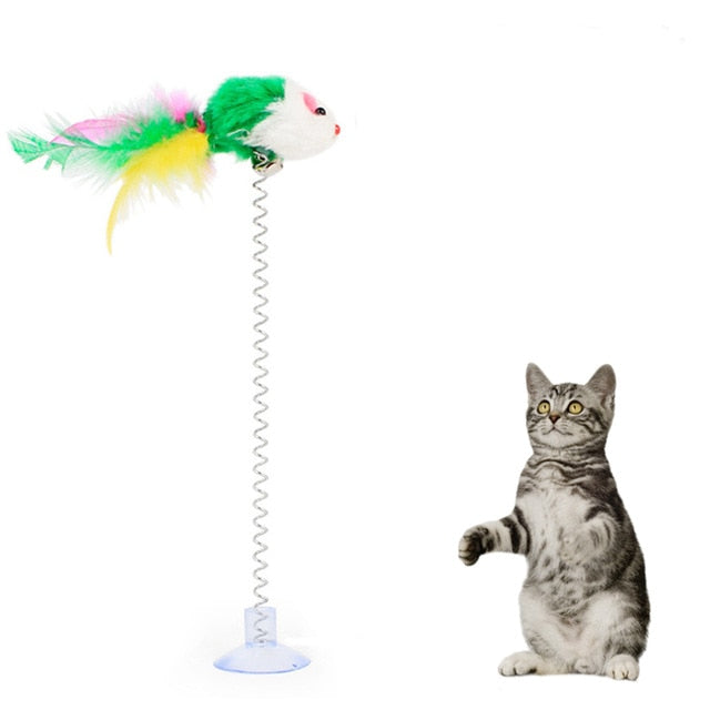 Cat Interactive Toy