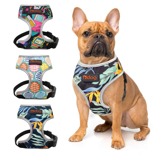 Pet Harness Vest and Leash